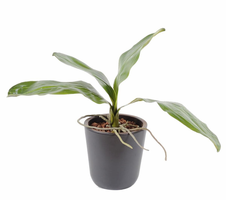 Kunstig Bladorkidé Phalaenopsis 24Cm Grøn