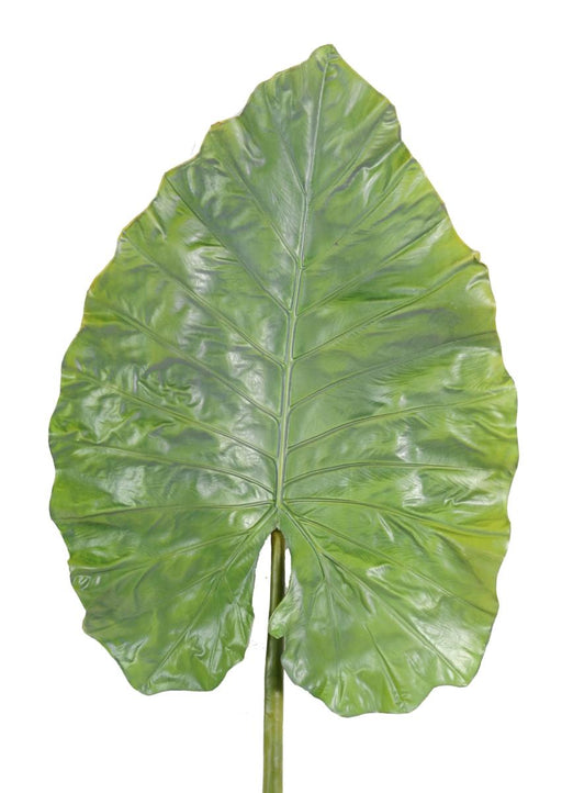 Kunstigt Alocasia Blad H.160Cm Til Dekoration