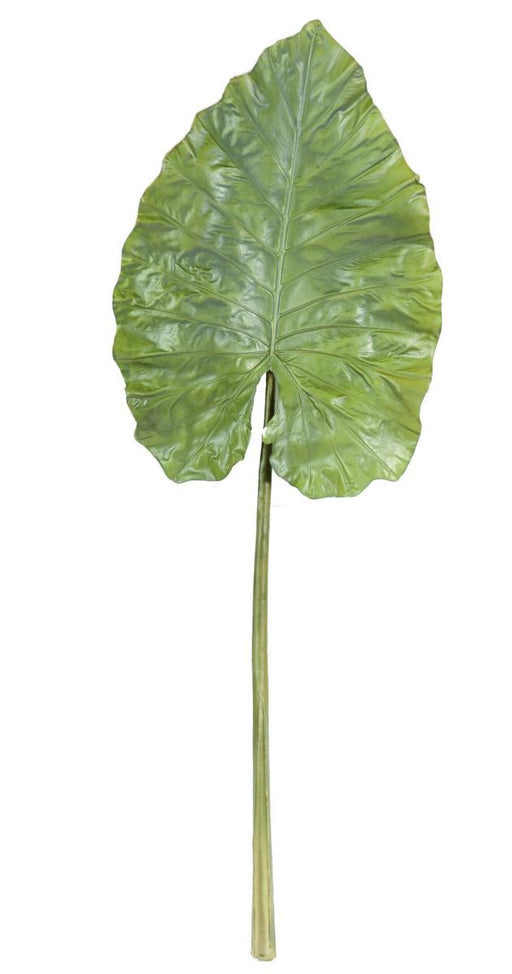 Kunstigt Alocasia Blad H.160Cm Til Dekoration