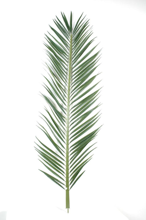 Kunstigt Tropisk Palmeblad H.220 Cm