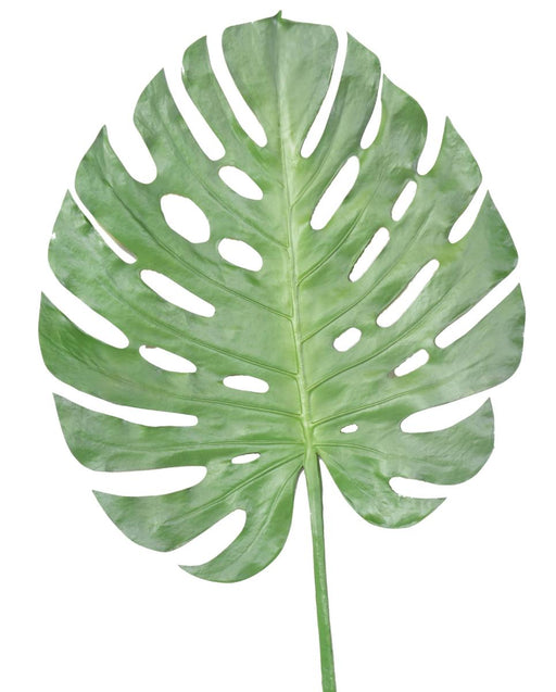 Kunstig Monstera Blad 120Cm Indvendig Dekoration