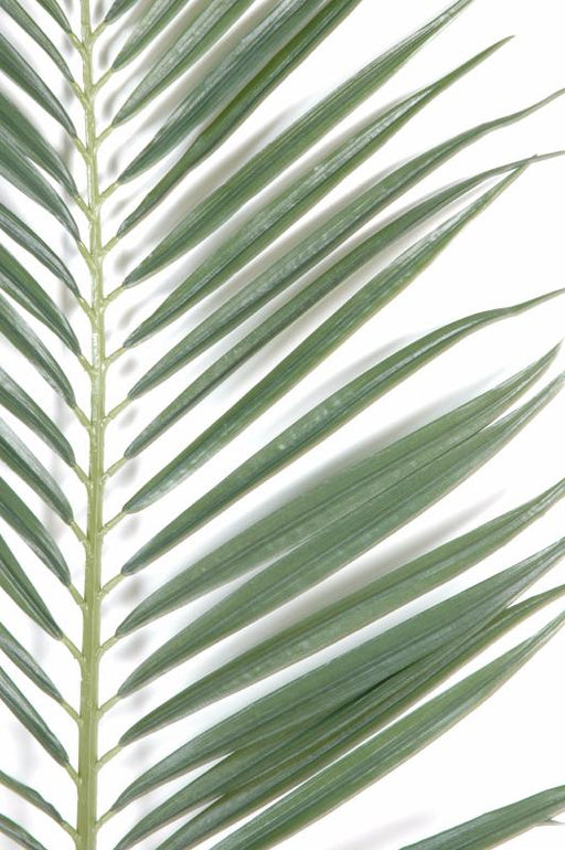 Kunstig Majestæt Palmeblad H.149Cm Dekoration
