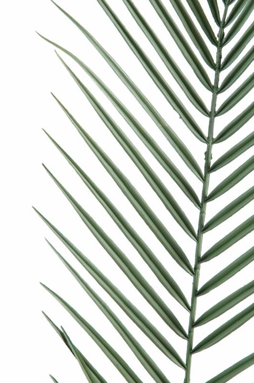 Plastik Phoenix Palmeblad 95Cm Til Udendørs