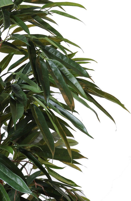 Kunstig Ficus Alii 160 Cm Grøn Indendørs Plante