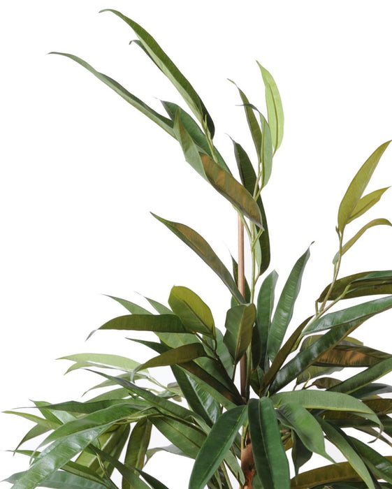 Kunstig Ficus Alii 160 Cm Grøn Indendørs Plante