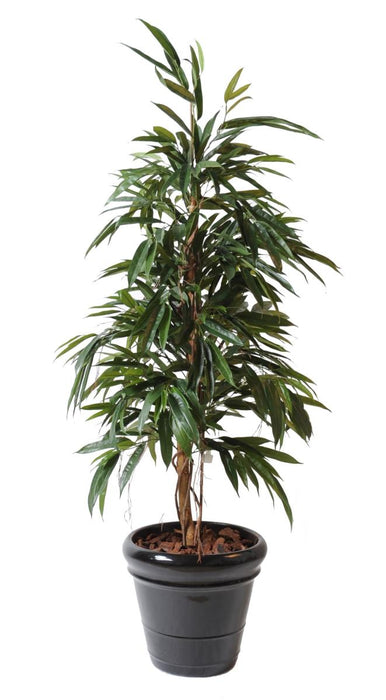 Kunstig Ficus Alii 160 Cm Grøn Indendørs Plante
