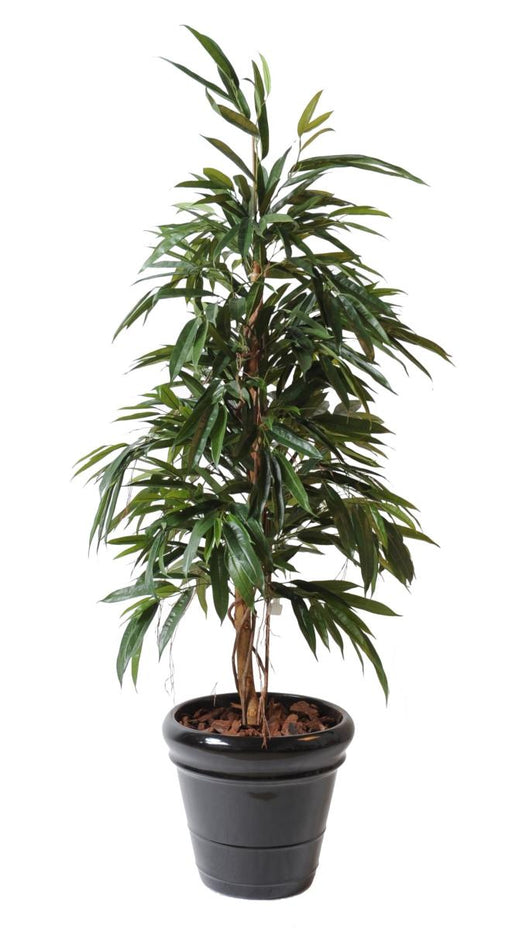 Kunstig Ficus Alii 160 Cm Grøn Indendørs Plante