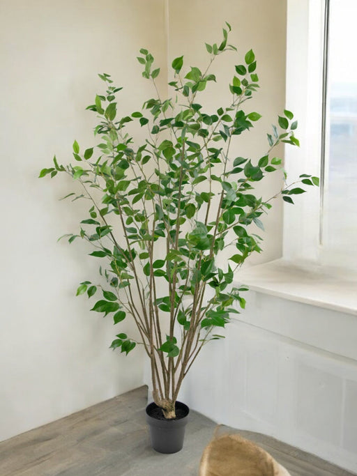 Ficus - Kunstigt Træ