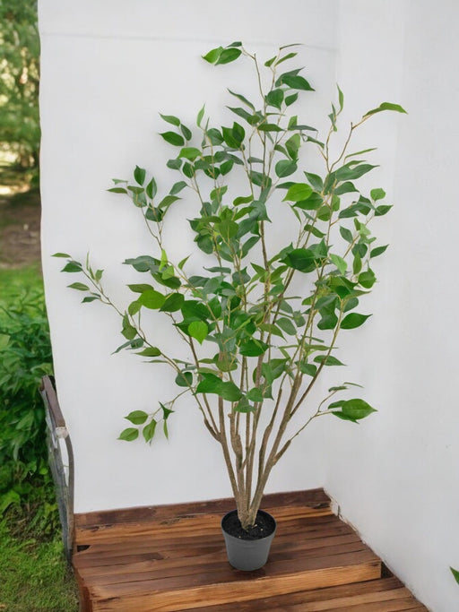 Ficus - Kunstigt Træ