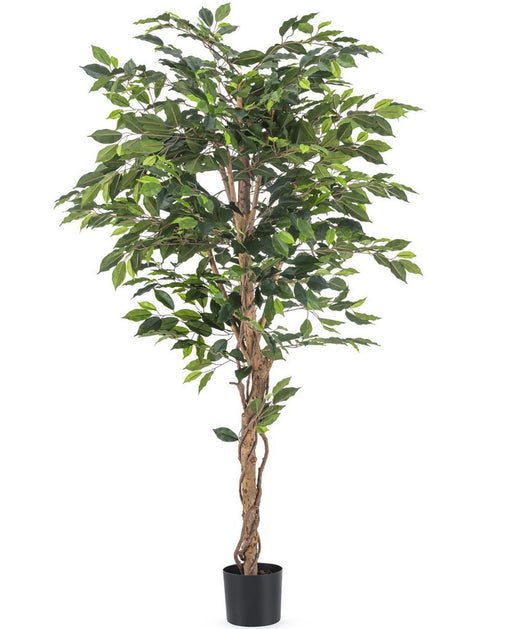 Ficus - Kunstigt Træ