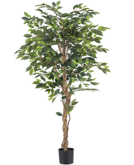 Ficus - Kunstigt Træ