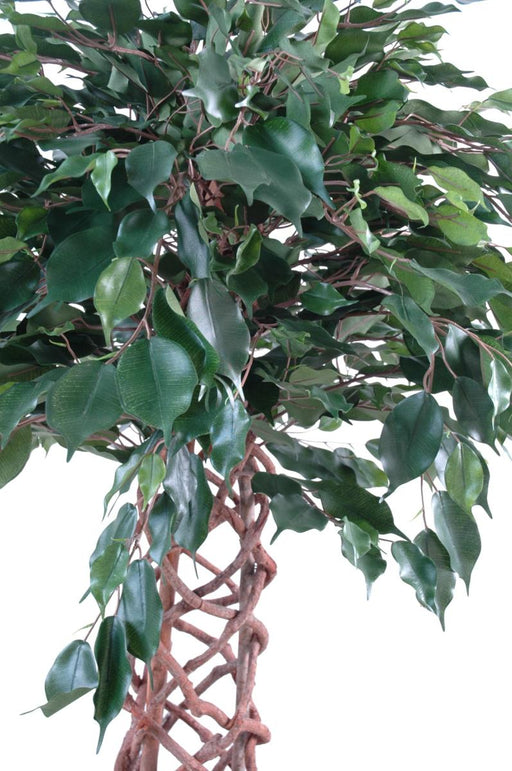Kunstig Ficus 170 Cm Grøn Stueplante