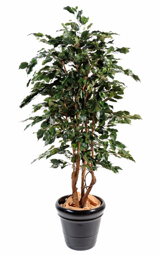 Kunstig Ficus 180Cm Indendørs Plante Grøn