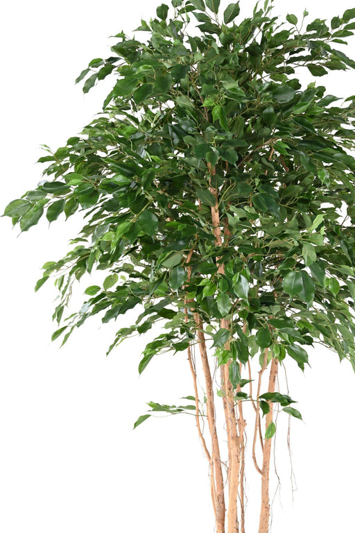 Kunstig Ficus 260 Cm Grøn Indendørs Plante