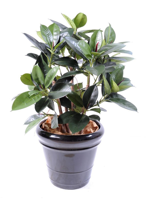 Kunstig Ficus 90 Cm Grøn Syntetisk Plante