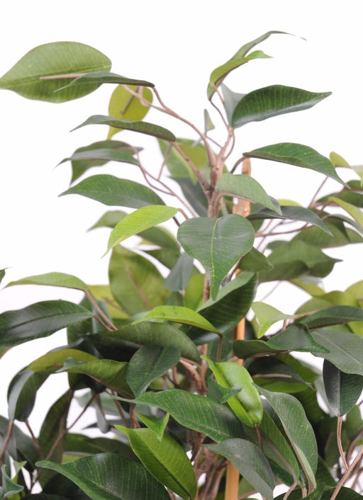 Kunstig Ficus Bold Natasja 140Cm Indendørs Plante