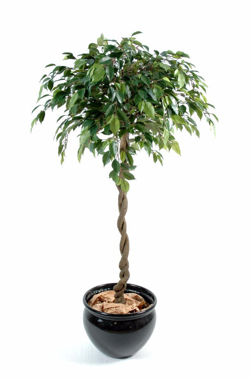 Kunstig Ficus Bold Natasja 140Cm Indendørs Plante
