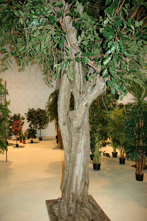 Kæmpe Kunstig Ficus 350 Cm Indendørs Plante