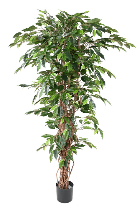 Kunstig Ficus Lianas 210 Cm Grøn Indendørs Plante