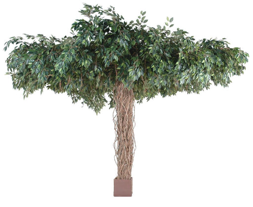 Kunstig Ficus Lianas Paraply 320 Cm Indendørs Plante