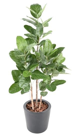 Ficus Audrey Kunstig 150 Cm Indendørs Plante