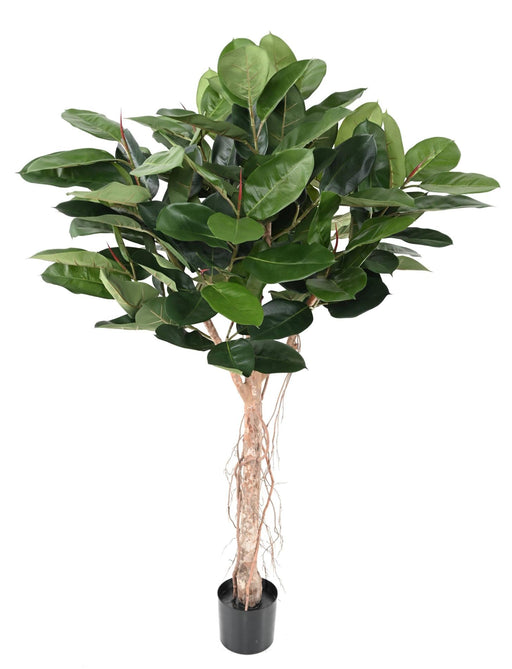 Kunstig Ficus Elastica Til Indretning 160Cm