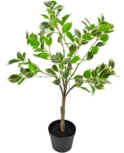 Ficus Henryi - Kunstig Grøn Plante