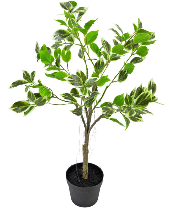 Ficus Henryi - Kunstig Grøn Plante