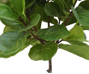 Ficus Lyrata - Kunstigt Træ