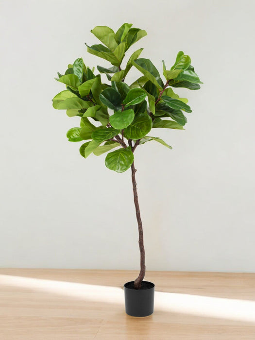 Ficus Lyrata - Kunstigt Træ