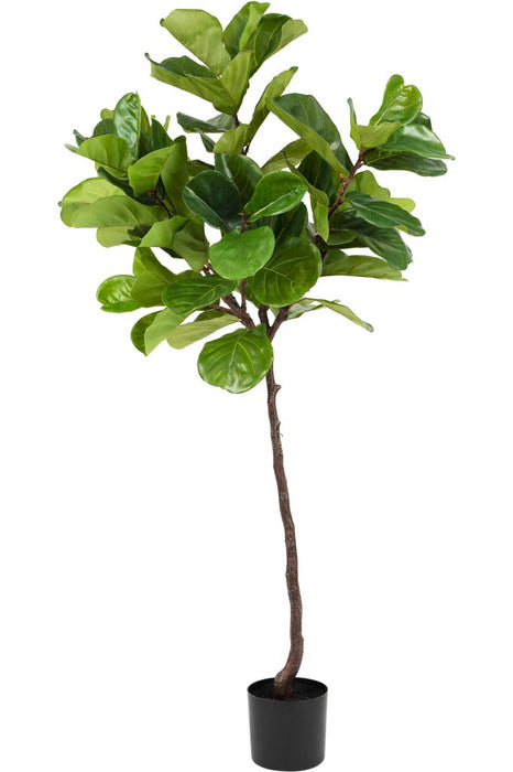 Ficus Lyrata - Kunstigt Træ