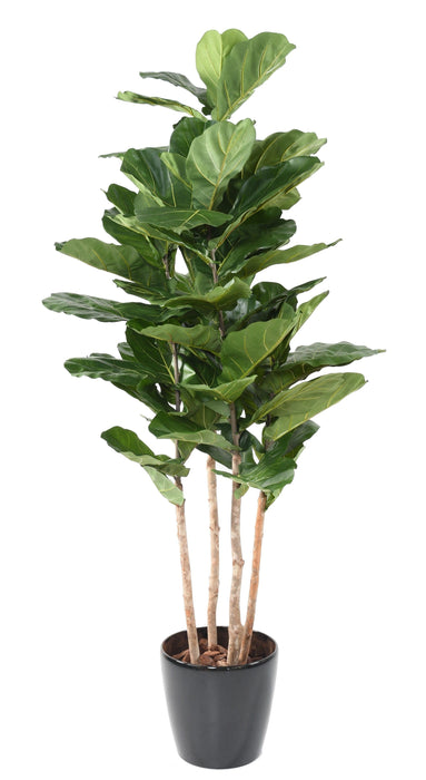 Ficus Lyrata Kunstig Grøn Plante Indendørs 210Cm