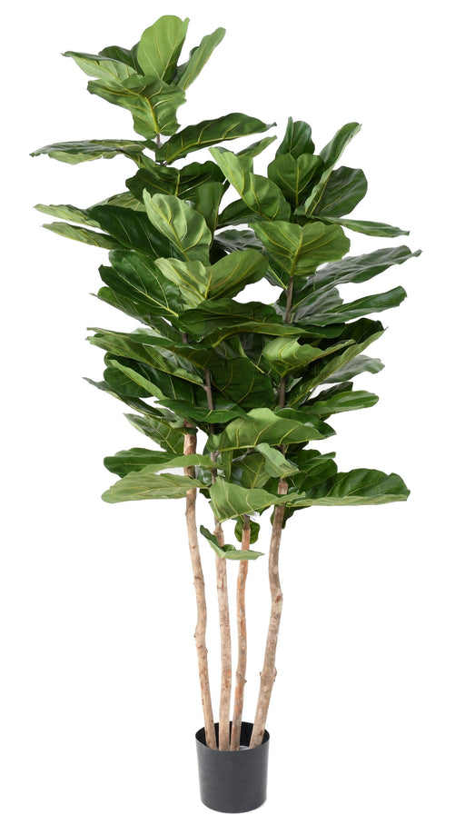 Ficus Lyrata Kunstig Grøn Plante Indendørs 210Cm