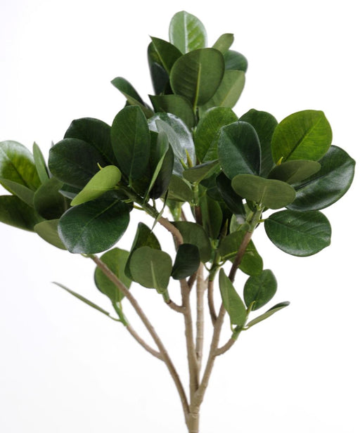 Kunstig Ficus Panda 40 Cm Til Blomsterdekorationer