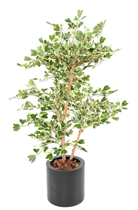 Kunstig Ficus Triangularis H120 Cm Indendørs Plante