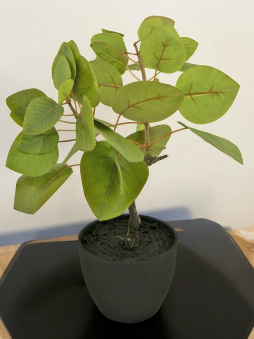 Ficus Tropica - Kunstig Grøn Plante