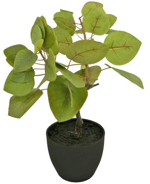 Ficus Tropica - Kunstig Grøn Plante