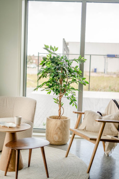 Grøn Ficus - Kunstigt Træ