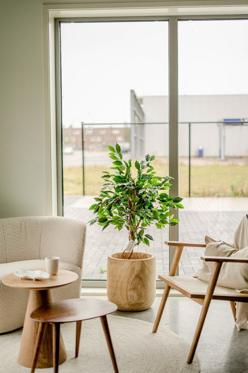 Ficus Benjamina - Kunstigt Træ