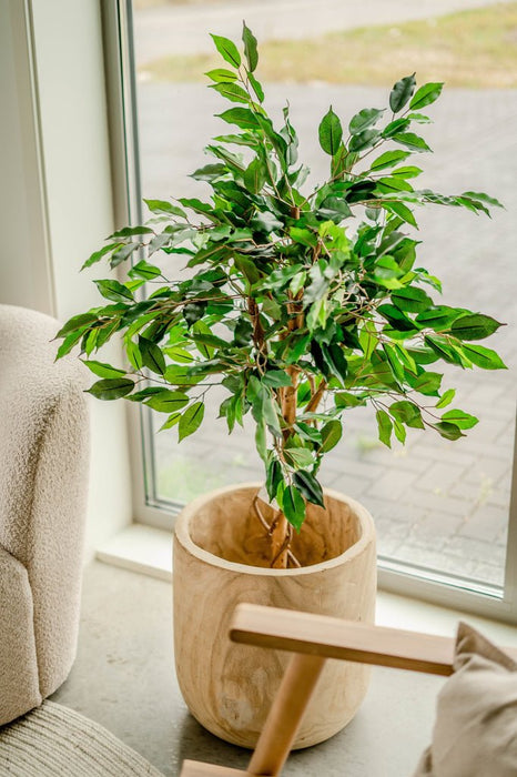 Ficus Benjamina - Kunstigt Træ