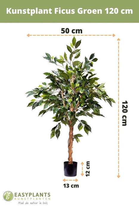 Ficus Benjamina - Kunstigt Træ