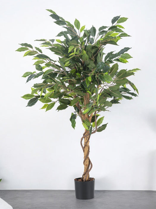 Ficus Benjamina - Kunstigt Træ