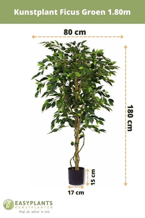 Ficus Benjamina - Kunstigt Træ