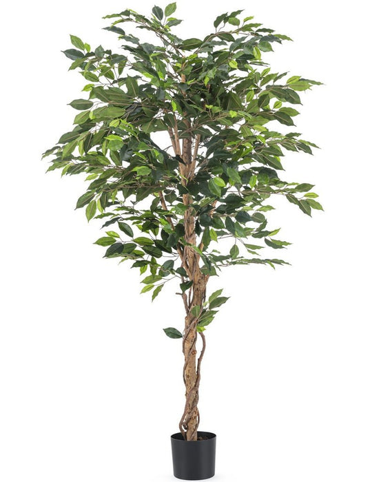Ficus Benjamina - Kunstigt Træ