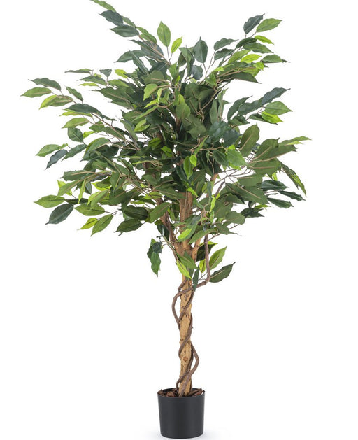 Ficus Benjamina - Kunstigt Træ