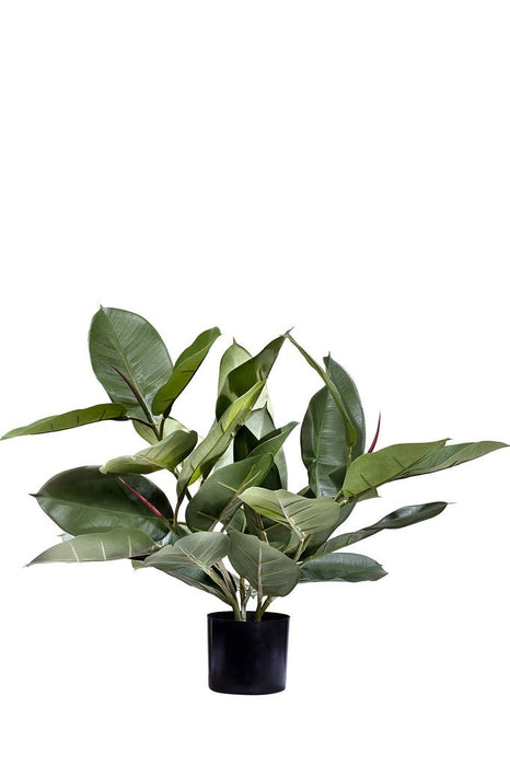 Ficus Elastica Rubber - Kunstig Grøn Plante