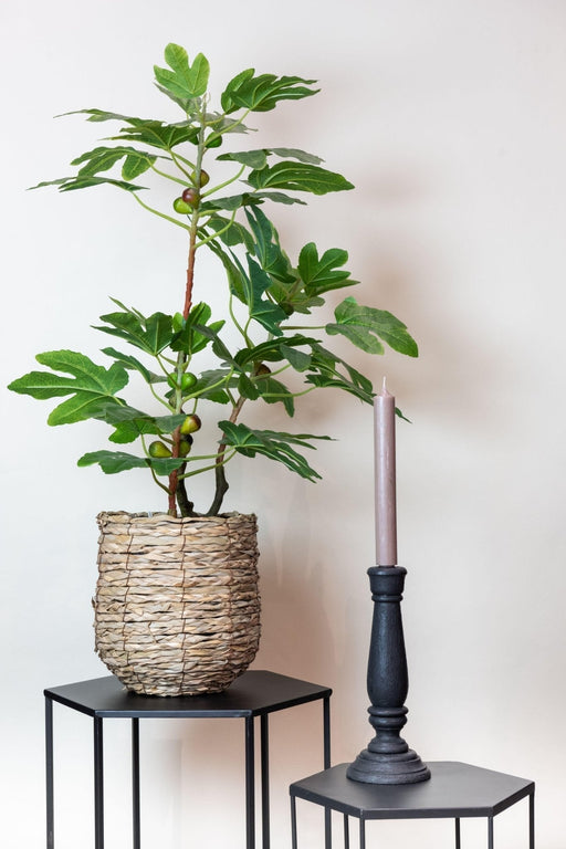 Figentræ Kunstig Plante H95Cm, Ø12Cm