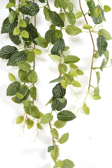 Fittonia Kunstig Pæl Til Indretning