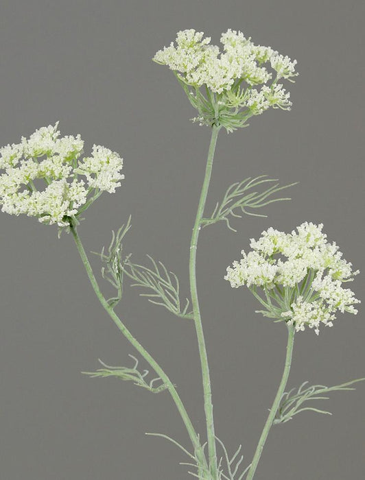 Kunstig Dild Blomst Vild Gulerod 74Cm Creme