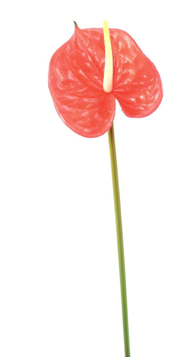 Kunstig Blomst Anthurium Rød H.58Cm Dekoration